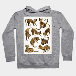 sepia cat positions Hoodie